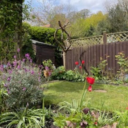 Picturesque Stone Cottage In The Heart Of North Yorkshire Village - Hideaway Cottage Eksteriør bilde