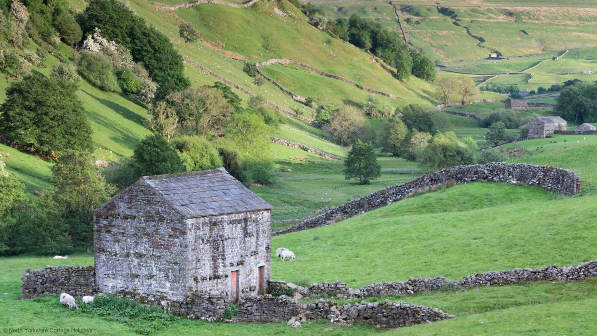 Picturesque Stone Cottage In The Heart Of North Yorkshire Village - Hideaway Cottage Eksteriør bilde