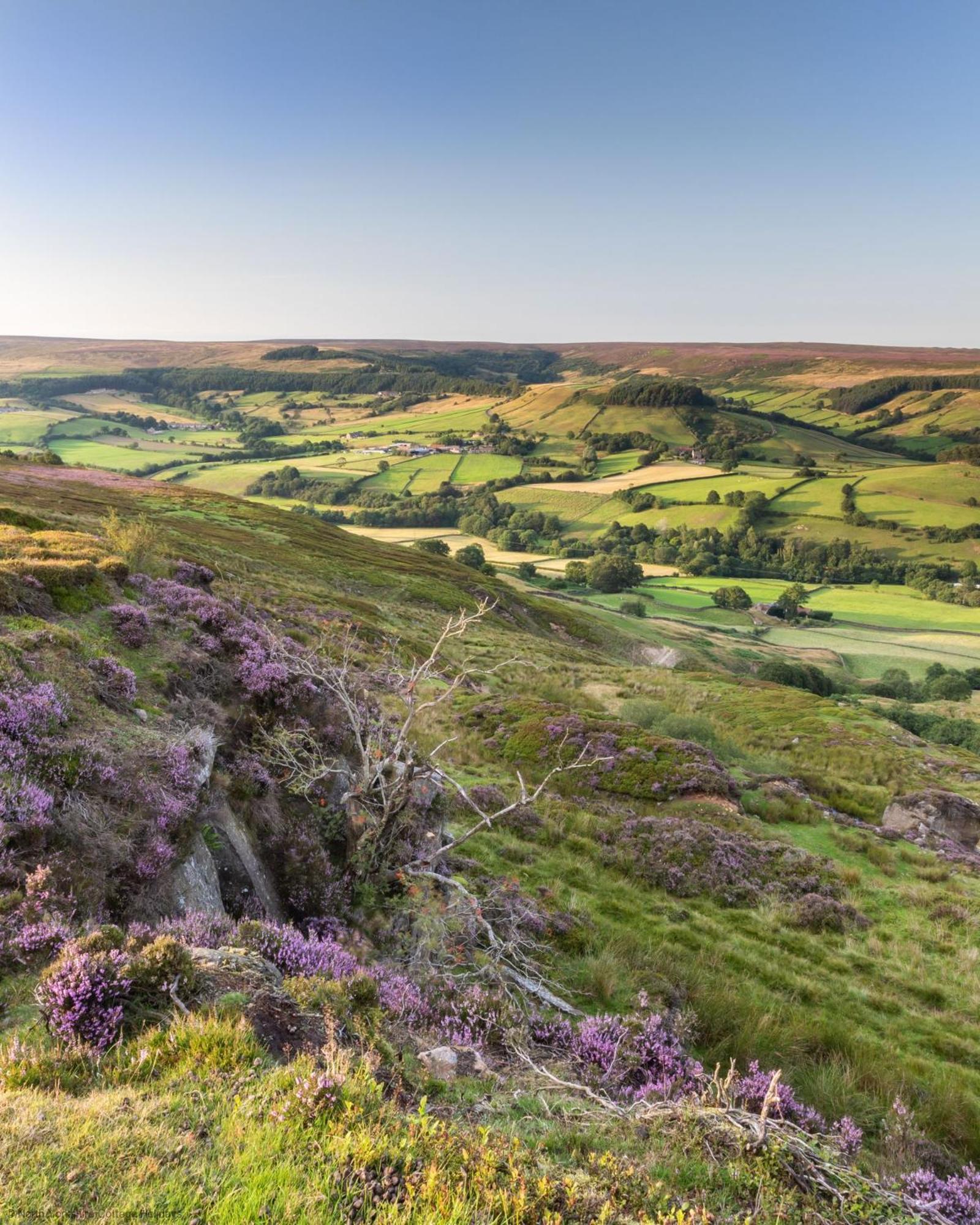 Picturesque Stone Cottage In The Heart Of North Yorkshire Village - Hideaway Cottage Eksteriør bilde