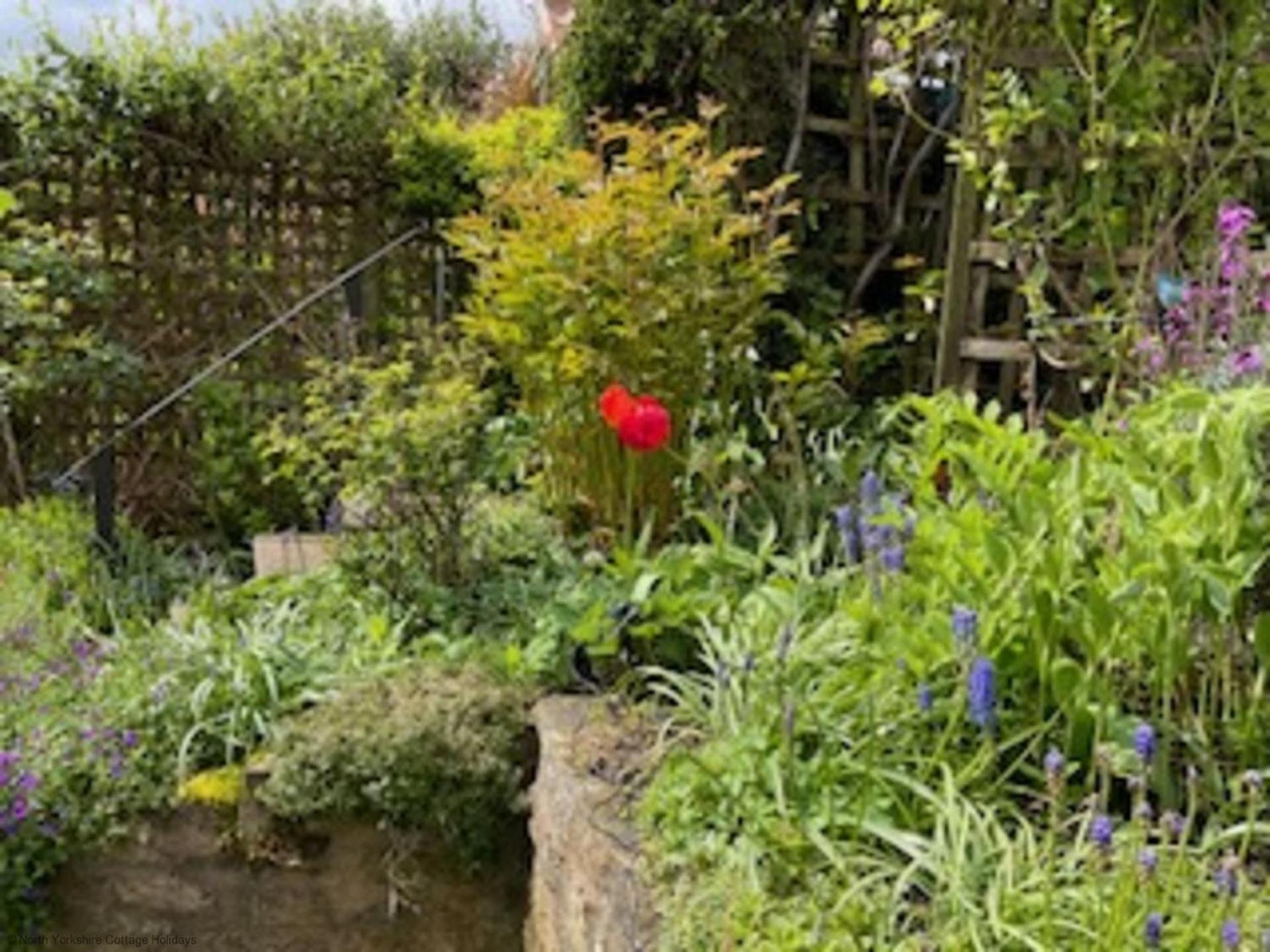 Picturesque Stone Cottage In The Heart Of North Yorkshire Village - Hideaway Cottage Eksteriør bilde